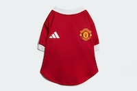 Dog-Friendly Soccer Jerseys Image 3