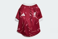 Dog-Friendly Soccer Jerseys Image 4