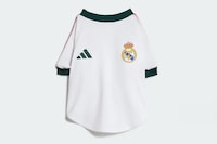 Dog-Friendly Soccer Jerseys Image 5