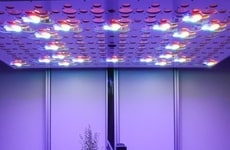 AI-Powered Root Phenotyping