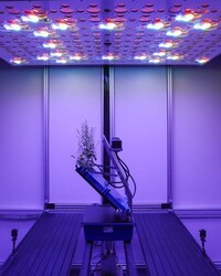 AI-Powered Root Phenotyping