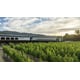 Luxury Experiential Rail Travel Image 1