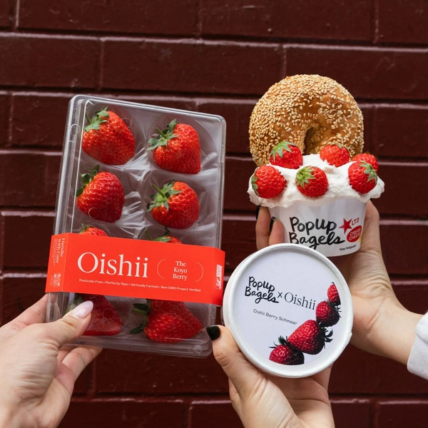 Premium Strawberry Bagel Spreads