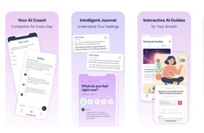 Mental Wellness Journals