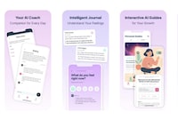 Mental Wellness Journals