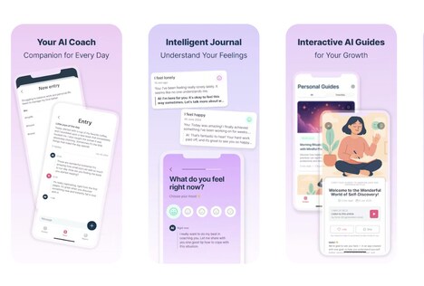 Mental Wellness Journals