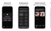 Visual AI Assistants