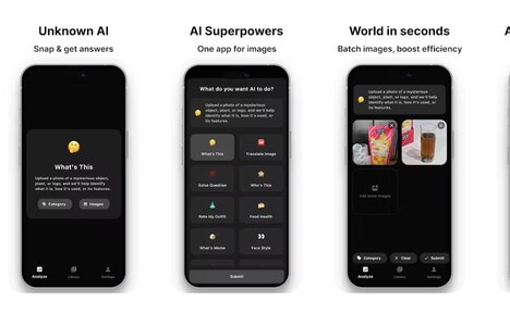 Visual AI Assistants