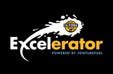 Dairy-Focused Startup Accelerator Programs