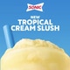 Creamy Pineapple Slushies Image 1