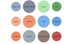 Mood Tracking Journals