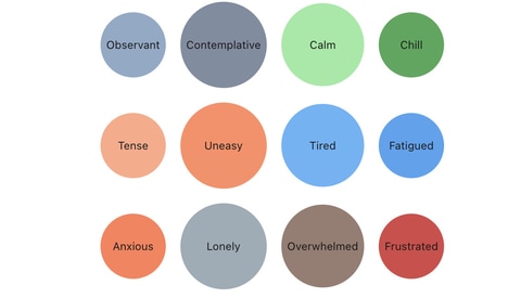 Mood Tracking Journals
