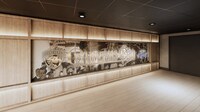 Airline Arena Partnerships