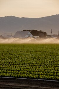 Open-Access AgTech Testing
