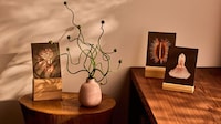 Nature-Inspired Ceramics Image 2