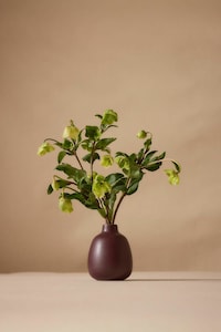 Nature-Inspired Ceramics Image 3