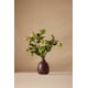 Nature-Inspired Ceramics Image 3
