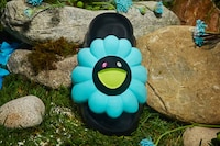 Floral Slide Collections Image 2