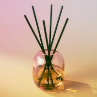 Uplifting Seasonal Home Fragrances Image 5