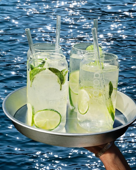 Cocktail-Inspired Hydration Cubes