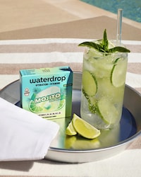 Cocktail-Inspired Hydration Cubes Image 5