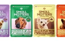 Small Dog-Specific Food Brands
