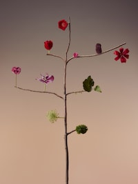 Floral Artist-Informed Lighting Capsules Image 2