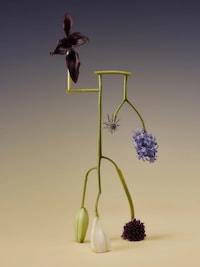 Floral Artist-Informed Lighting Capsules Image 8