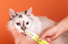 Nourishing Prebiotic Cat Treats