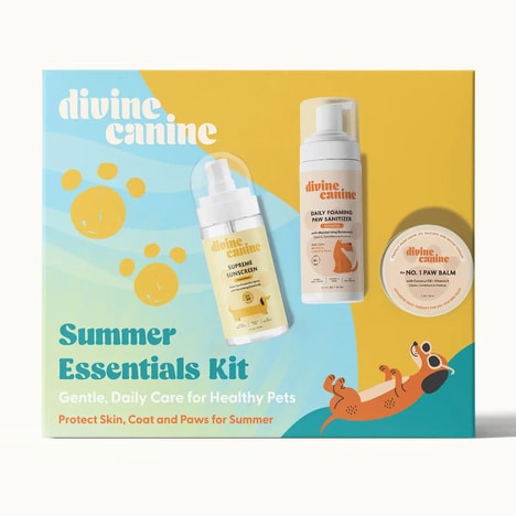 Summer-Ready Pet Kits
