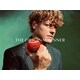 Playful Tennis-Inspired Fashion Campaigns Image 1