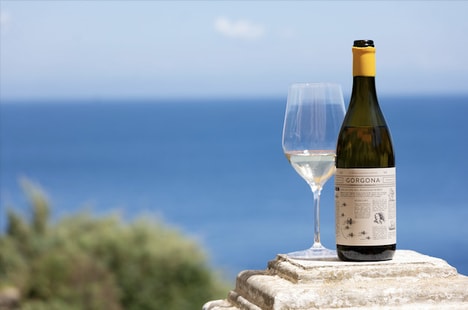 Collaboratively Produced White Wines