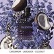 Bold Rome-Inspired Fragrances Image 2