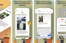Emotional AI Diaries