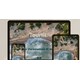 AI Travel Guides Image 1