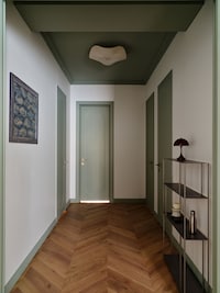 Color-Led Apartment Designs Image 3