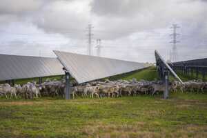 Renewable Supply Chains Article Thubnail