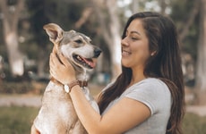 Branded Pet-Fostering Challenges
