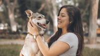 Branded Pet-Fostering Challenges Image 1