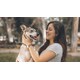 Branded Pet-Fostering Challenges Image 1