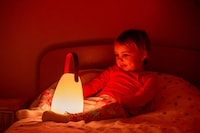 Portable Color-Changing Lanterns Image 1