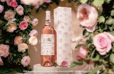 Limited-Edition Ros&eacute; Collections