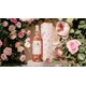 Limited-Edition Ros&eacute; Collections Image 1