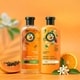Papaya-Scented Haircare Image 1