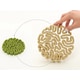 Photosynthetic Biocement Image 1