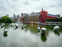 Inflatable Art Trails Image 2