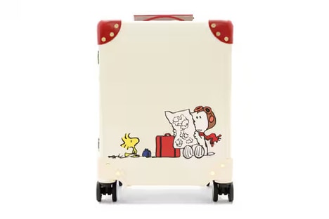 Character Travel Cases