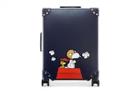 Character Travel Cases Image 3