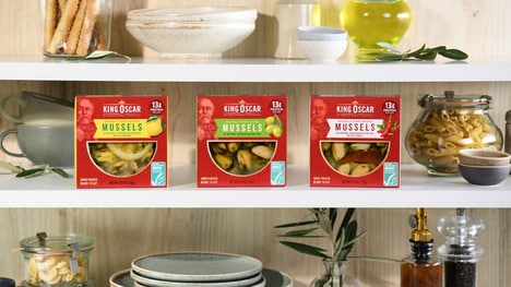 High-Quality Canned Mussels