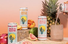 Dairy-Free Probiotic Drinks